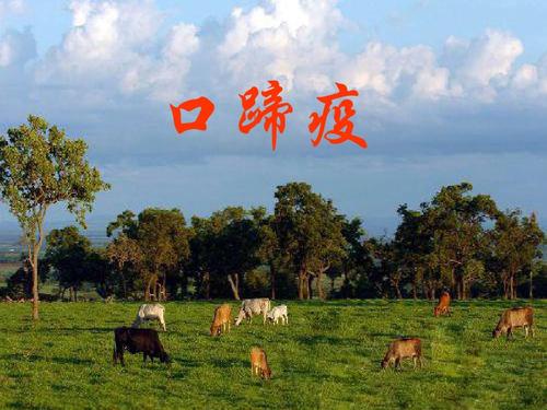 海关总署 农业农村部公告2020年第96号（关于防止莫桑比克口蹄疫传入我国的公告）