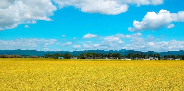海关总署 农业农村部公告2021年第12号（关于防止斯里兰卡牛结节性皮肤病传入我国的公告）